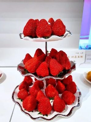 漁陽北房鮮臻品 蛇年迎春鮮享會的病人陪護服務新篇章